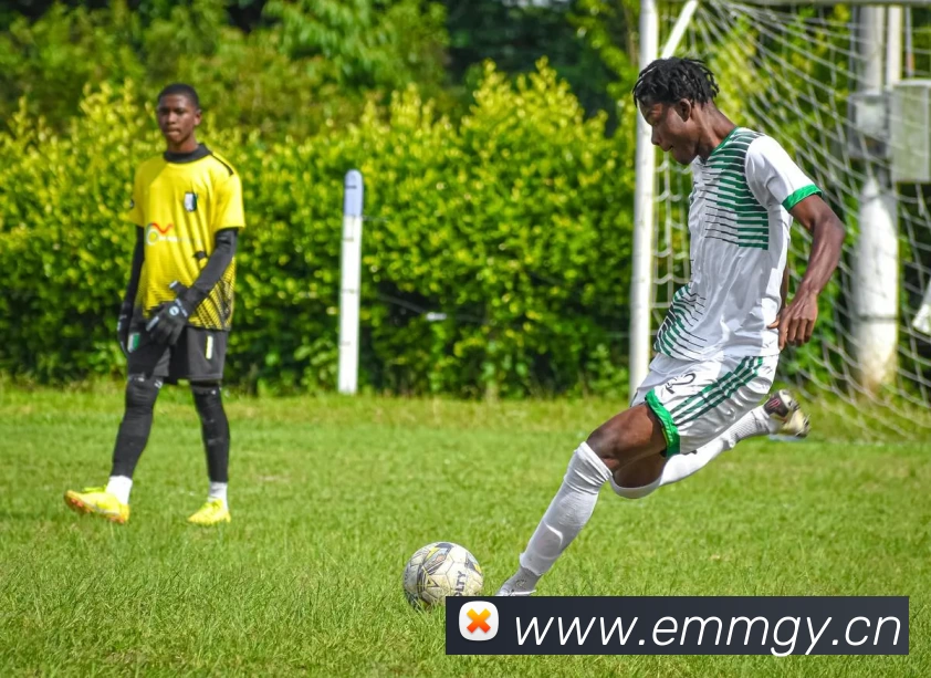 九游会官网网站:畅游游戏世界的最佳选择APP 封面图